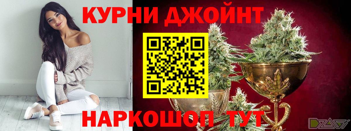 Каннабис сатива Верхняя Пышма